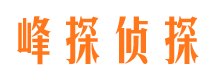 隆德找人公司